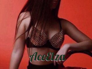 Ace_Elza