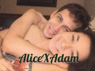 Alice_X_Adam