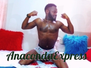 AnacondaExpress