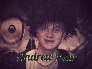 Andrew_Bear