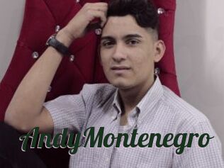 AndyMontenegro