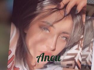 Aneu