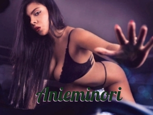 Anieminori