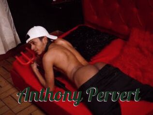 Anthony_Pervert