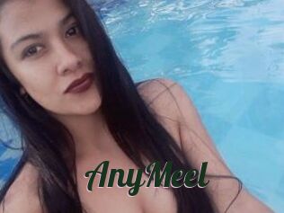 AnyMeel