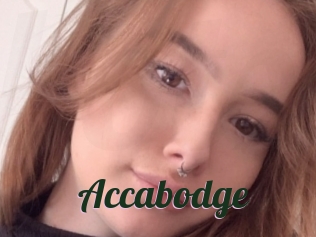 Accabodge