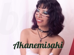 Akanemisaki