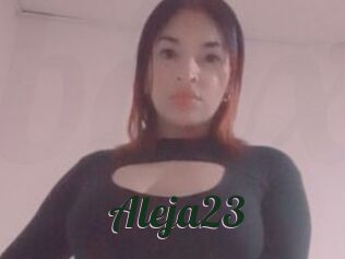 Aleja23