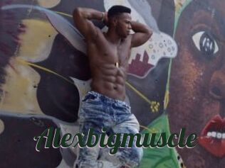 Alexbigmuscle