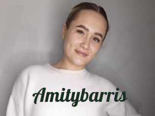 Amitybarris