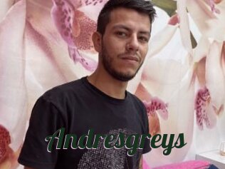 Andresgreys