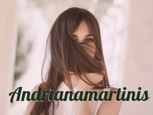 Andrianamartinis