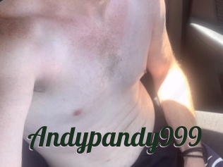 Andypandy999