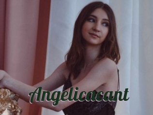 Angelicacant