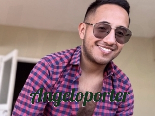 angeloporter Bottin X