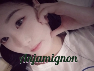 Anjamignon