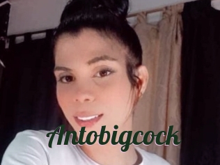 Antobigcock