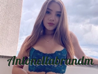 Antonellabrandm