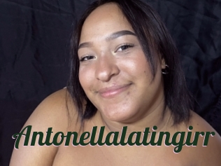 Antonellalatingirr