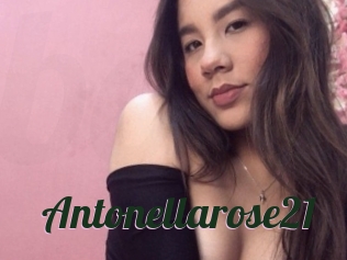 Antonellarose21