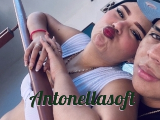 Antonellasoft