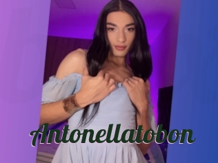 Antonellatobon