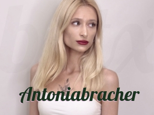 Antoniabracher