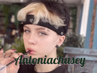 Antoniachasey