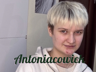 Antoniacowick