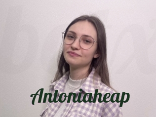 Antoniaheap