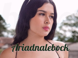 Ariadnalebock