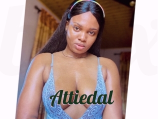 Attiedal