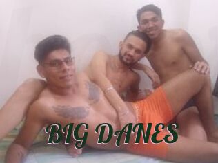 BIG_DANES