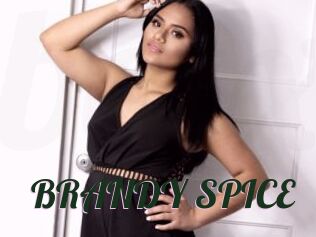 BRANDY_SPICE