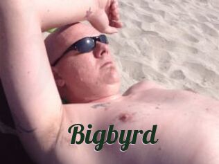 Bigbyrd