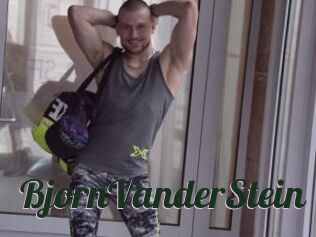 BjornVanderStein