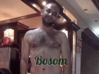 Bosom