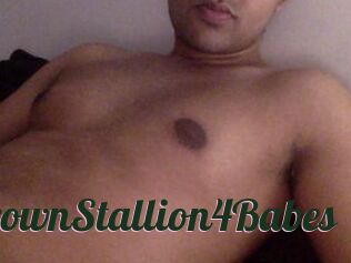 BrownStallion4Babes