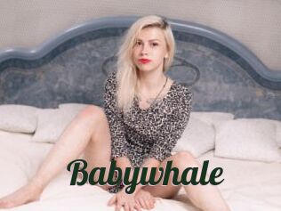 Babywhale