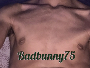 Badbunny75