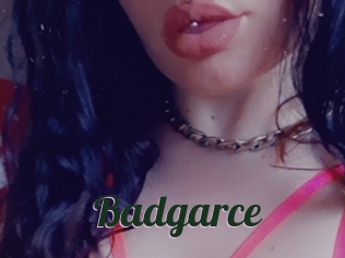 Badgarce