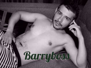 Barryboss