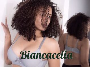 Biancacelia