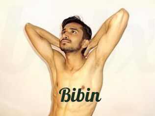 Bibin