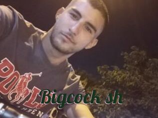 Bigcock_sh