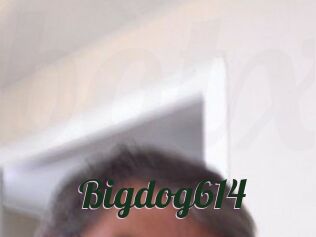 Bigdog614