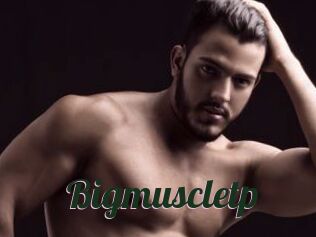 Bigmuscletp