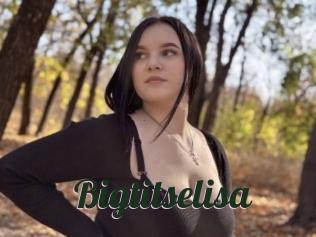 Bigtitselisa