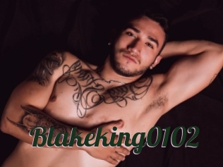 Blakeking0102