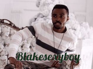 Blakesexyboy